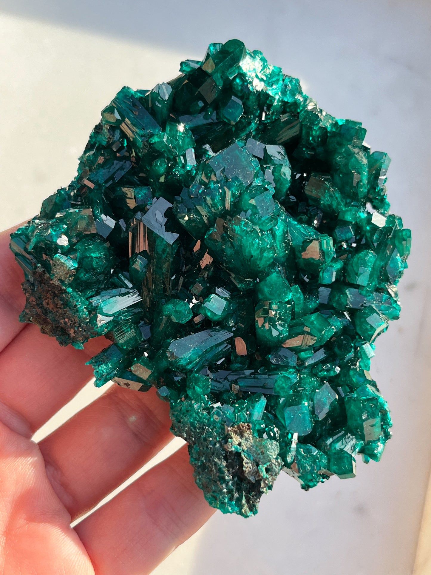 AA Grade Dioptase Specimen #8