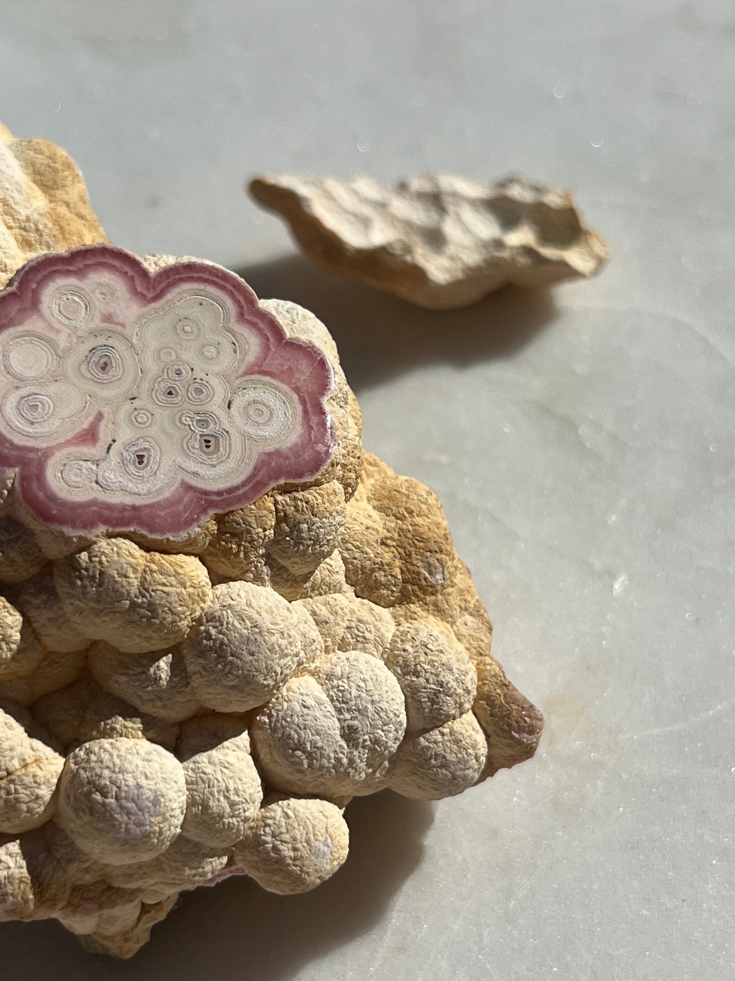 ‘Moonrock’ Botryoidal Rhodochrosite Specimen w/Cap #3