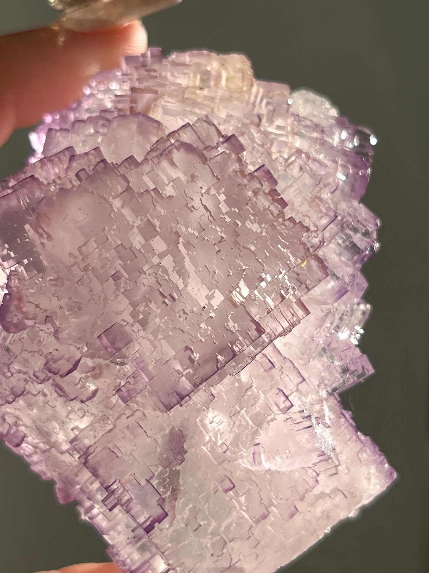 Muzquiz Stepped Purple Fluorite with Calcite