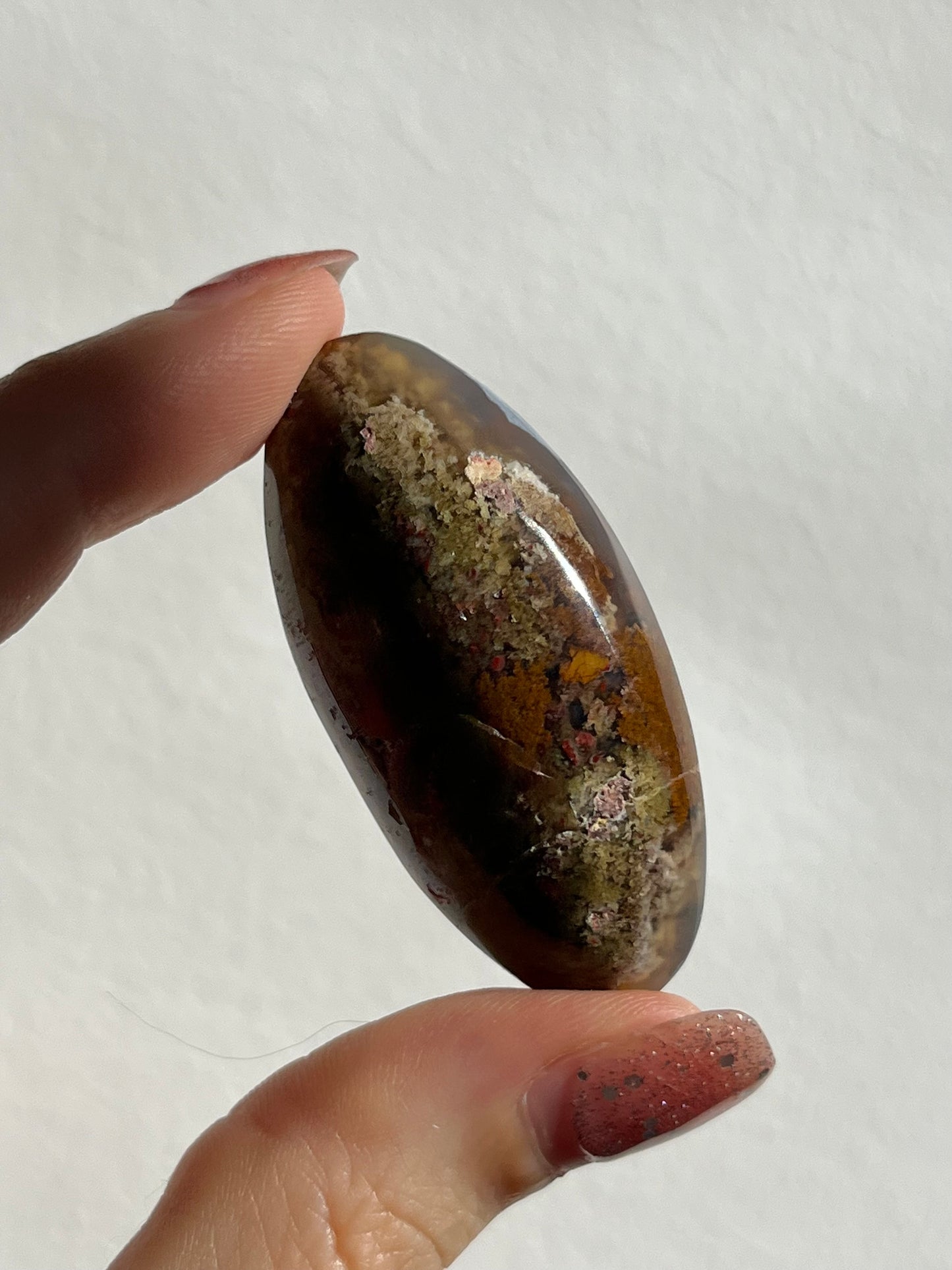 Multicolour Moss in Chalcedony Shiva Palm (You Choose)