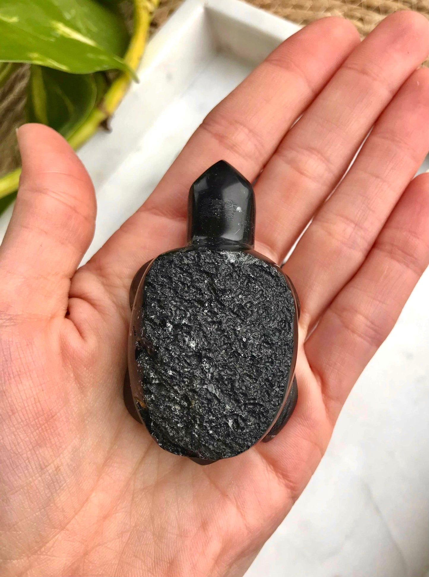 Talla de tortuga Agni Manitite 'Perla del fuego divino' (dedo astillado)