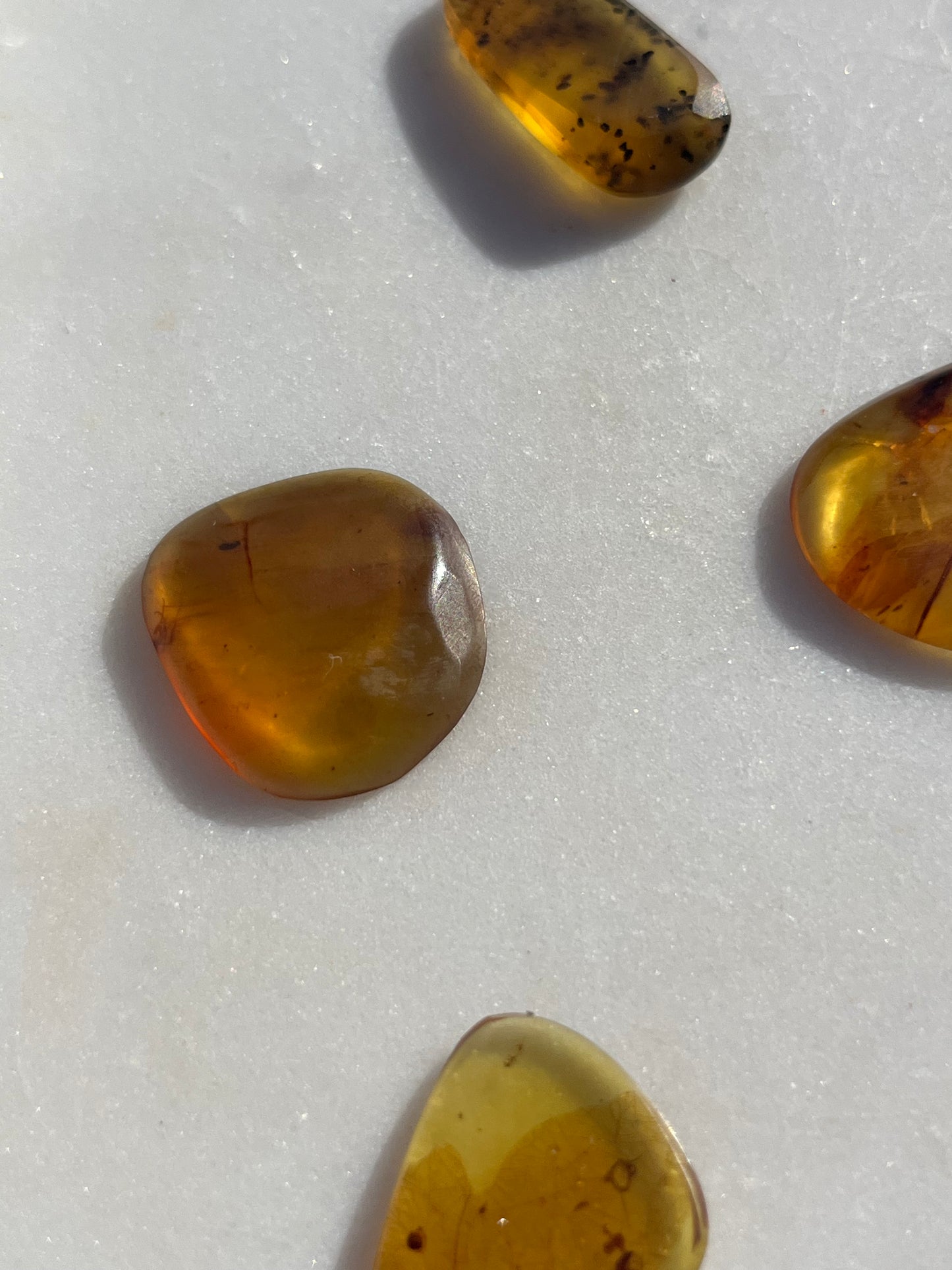 Amber Specimen (Intuitively Selected)