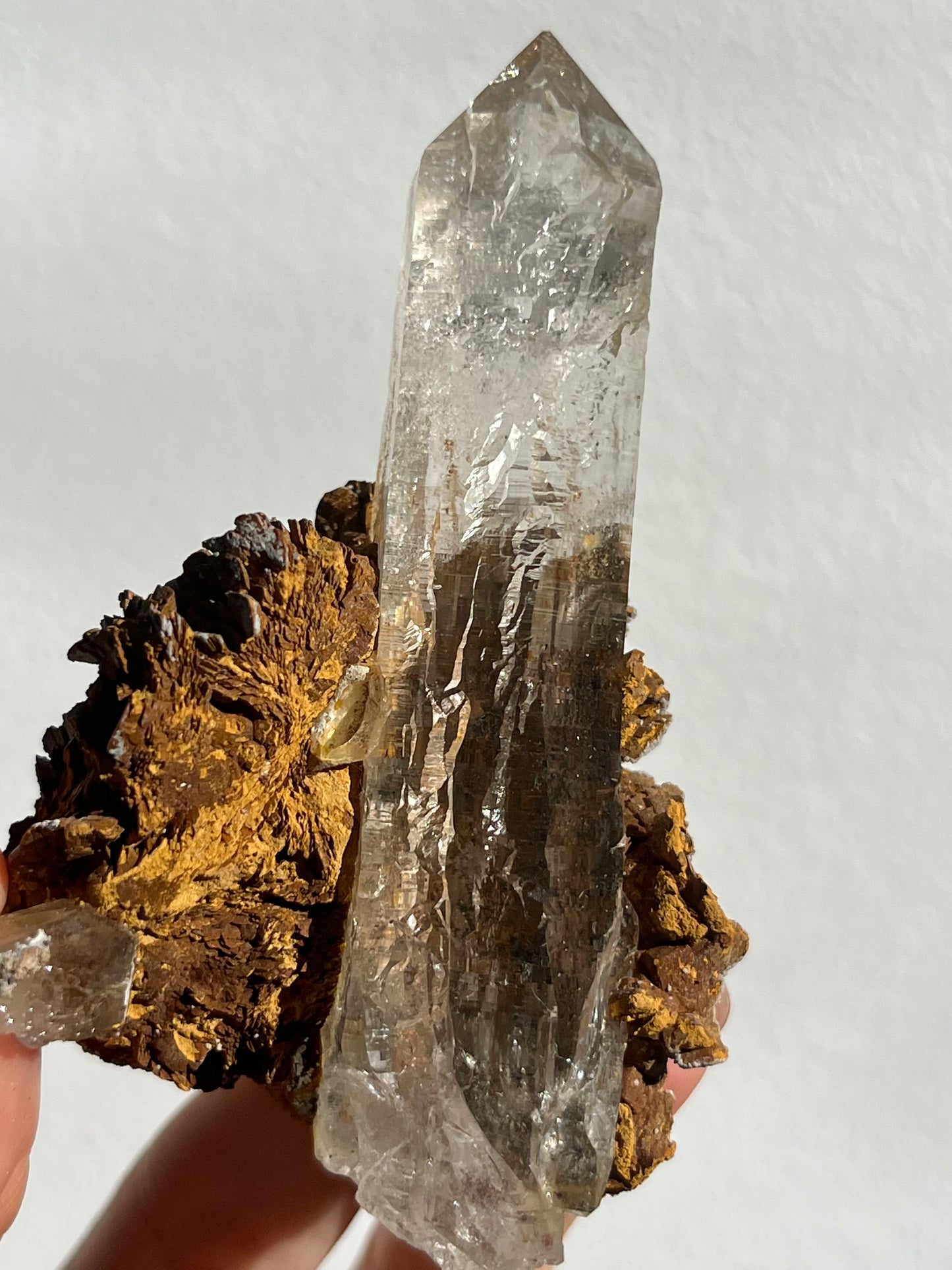 Water Clear Self-Healed Himalayan Smokey Quartz Point in Siderite Rosette #5