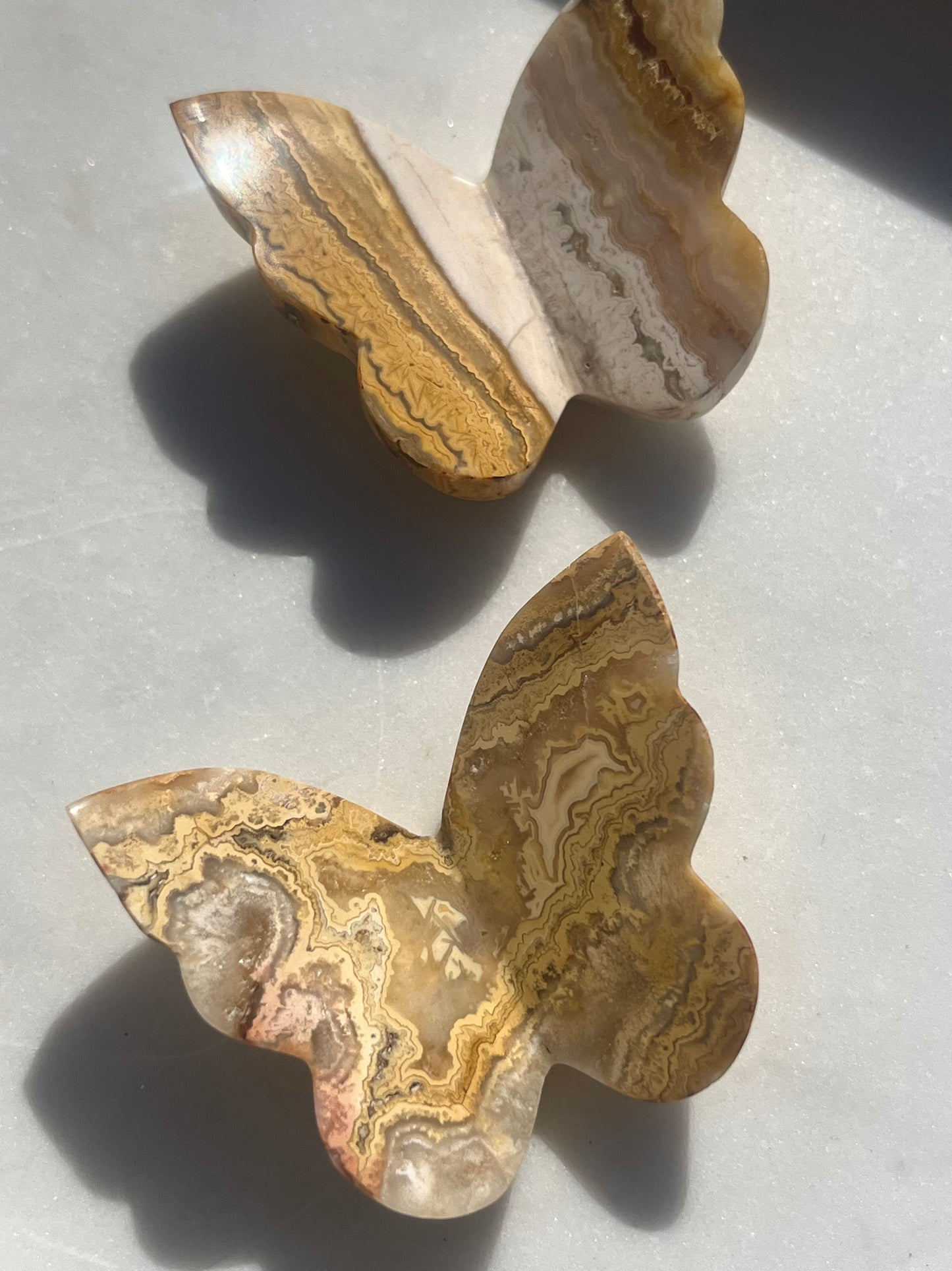 Golden Crazy Lace Agate 3D Butterfly Carving (Intuitively Chosen)