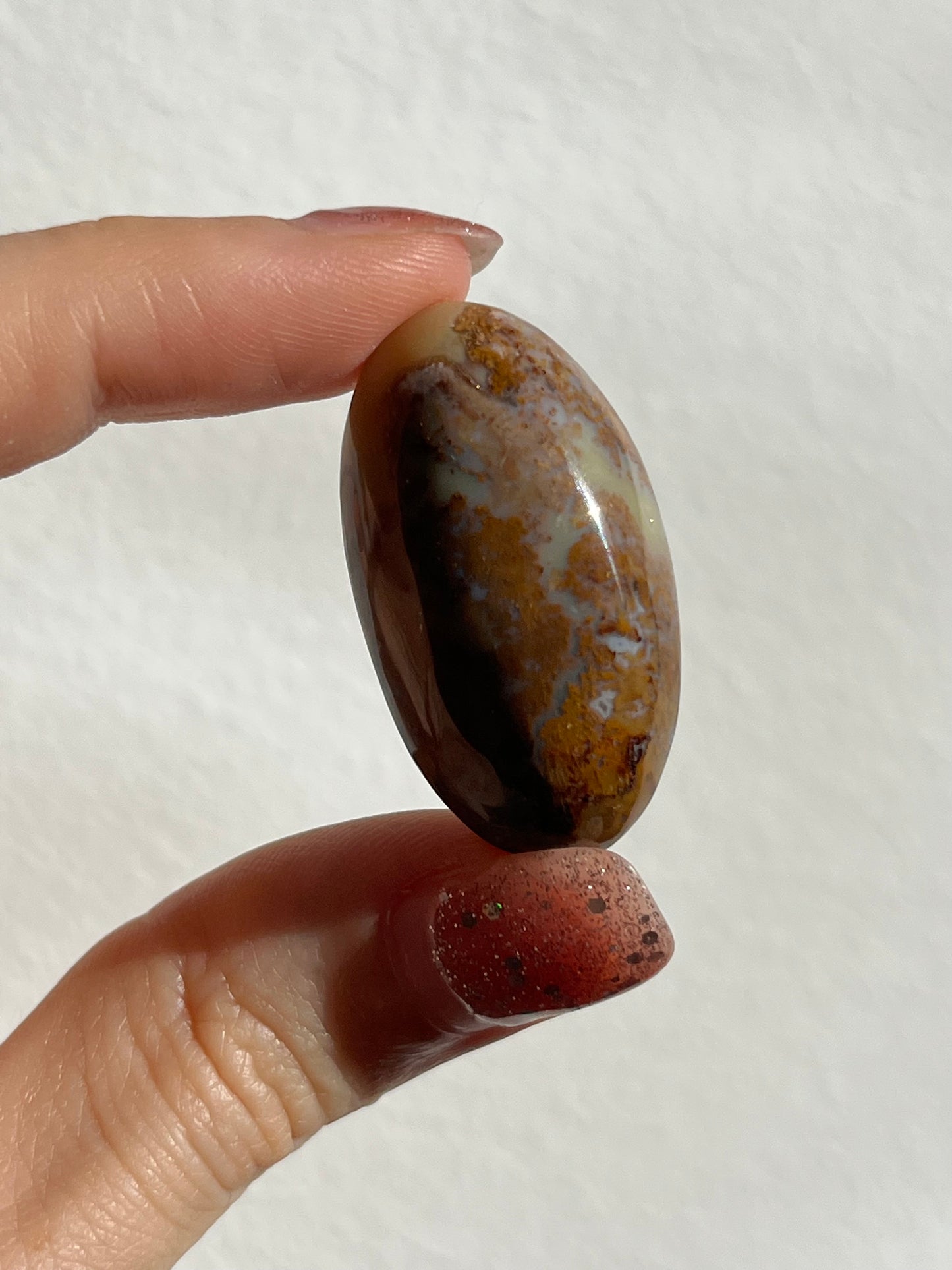 Multicolour Moss in Chalcedony Shiva Palm (You Choose)