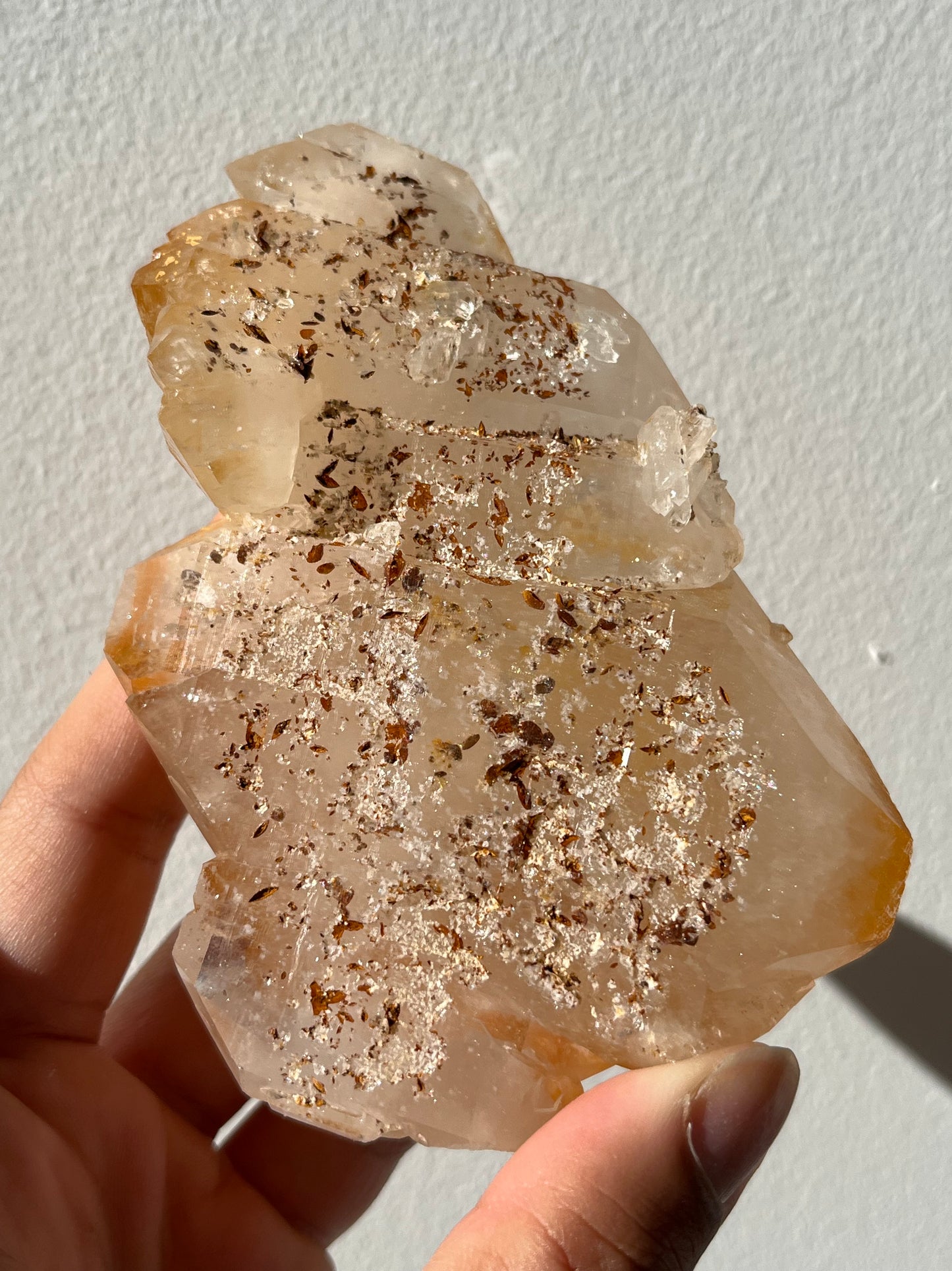 Rare Golden Healer Faden Quartz with Siderite #2