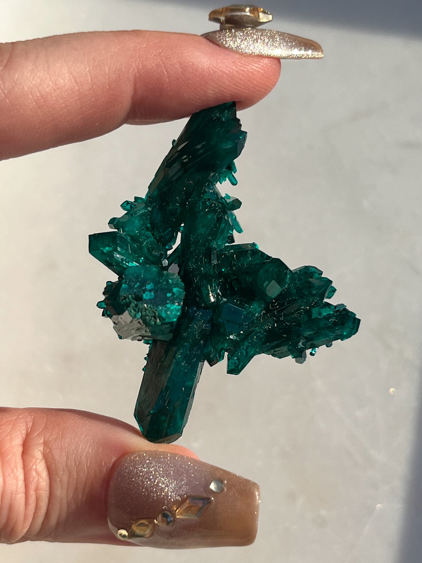 AA Grade Dioptase Specimen #4