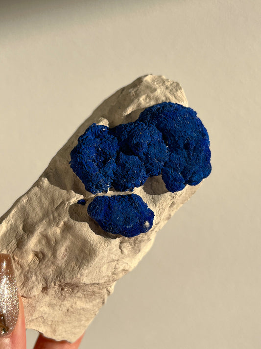 Azurite Sun Specimen on Clay #2