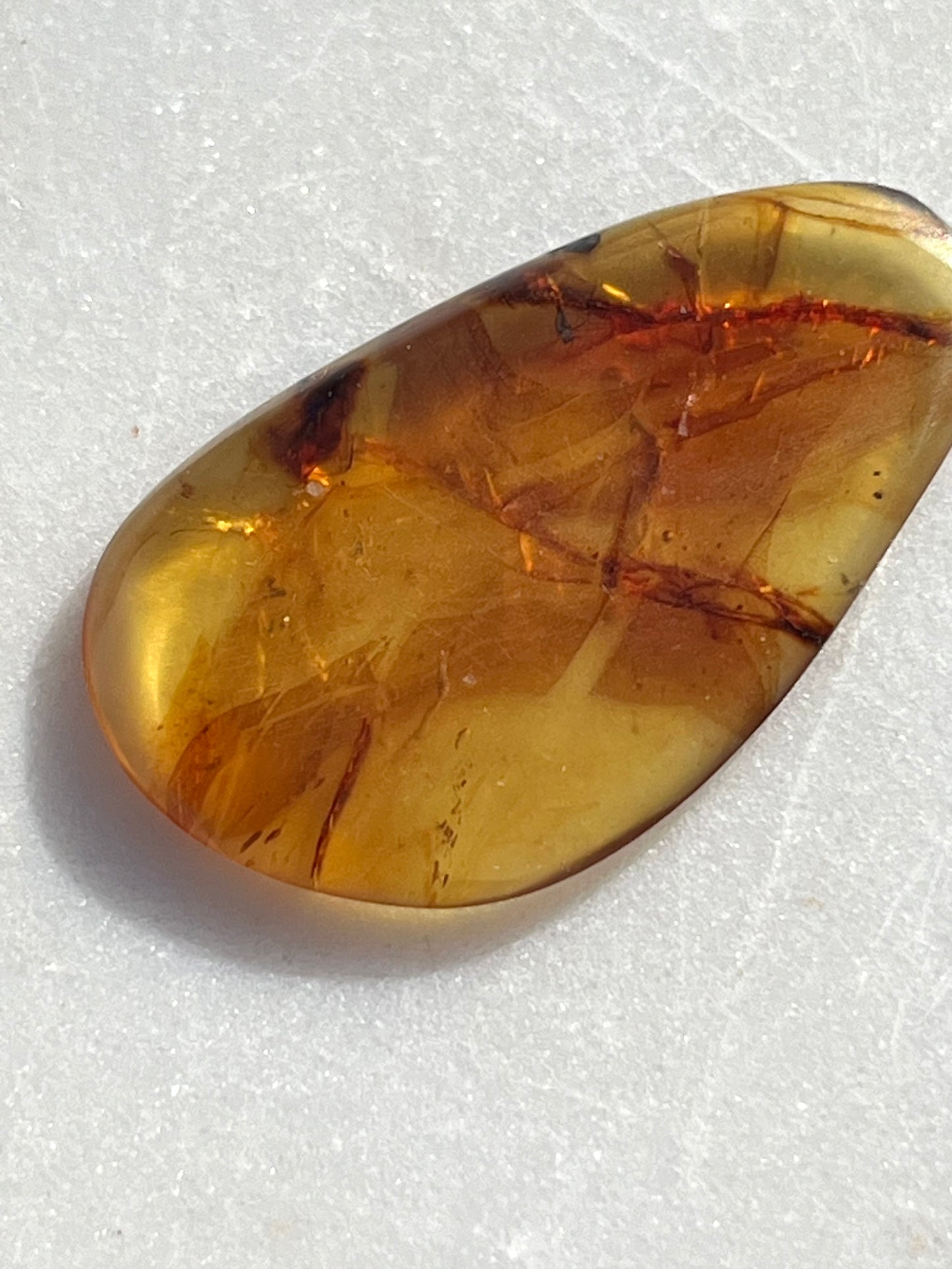 Amber Specimen (Intuitively Selected)