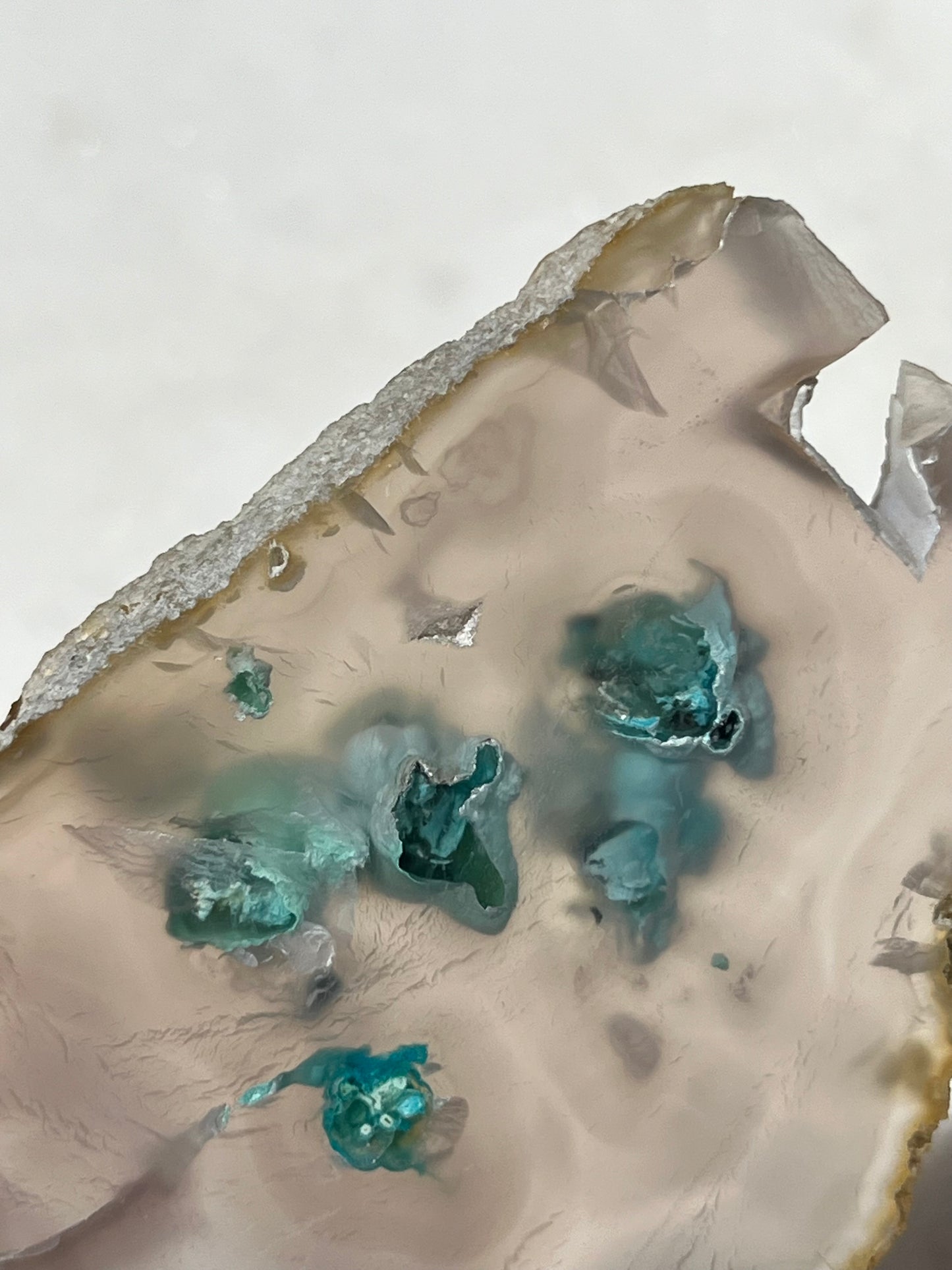 Chrysocolla in Chalcedony Slice w/Dendritic Inclusions