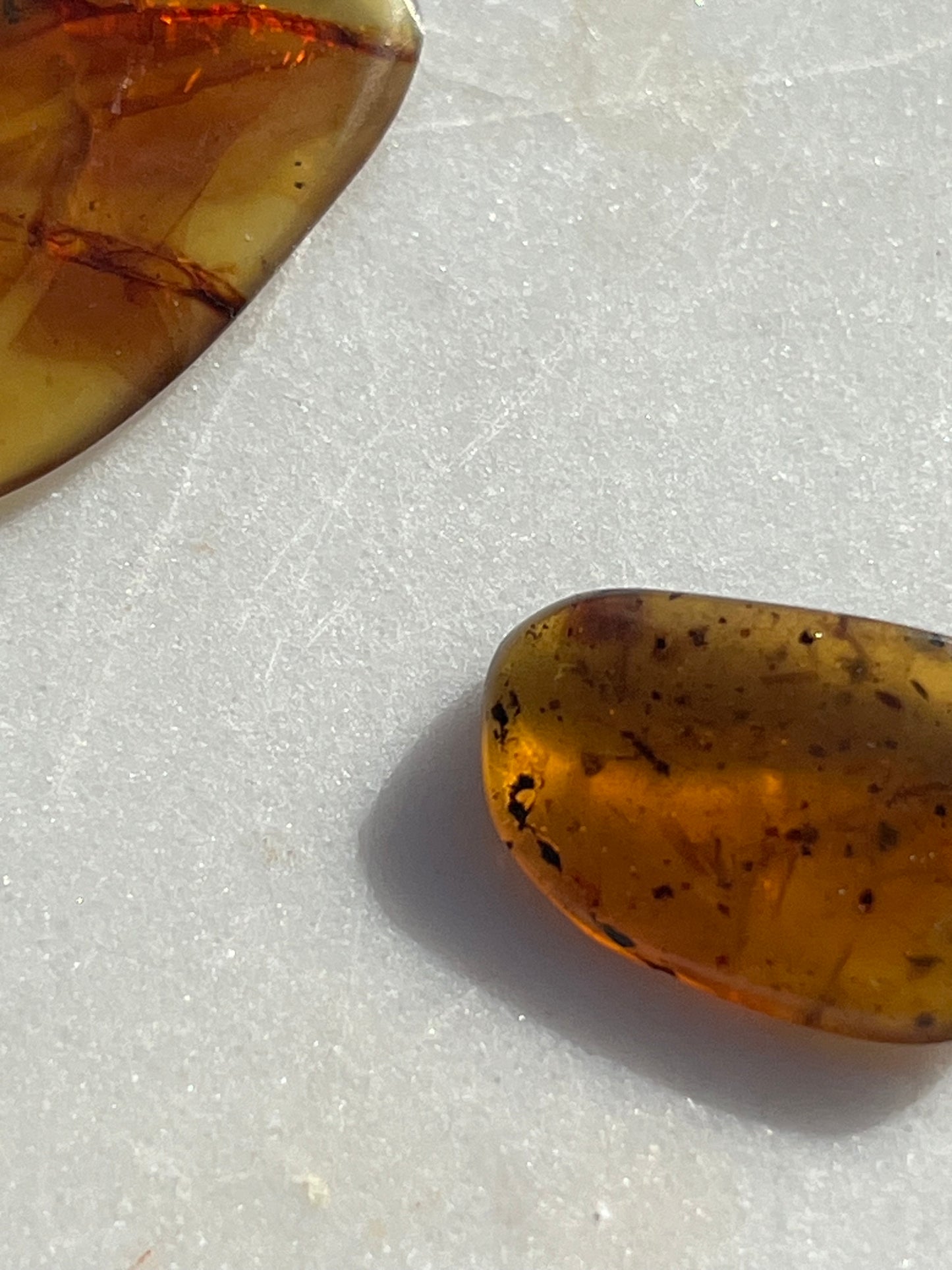 Amber Specimen (Intuitively Selected)