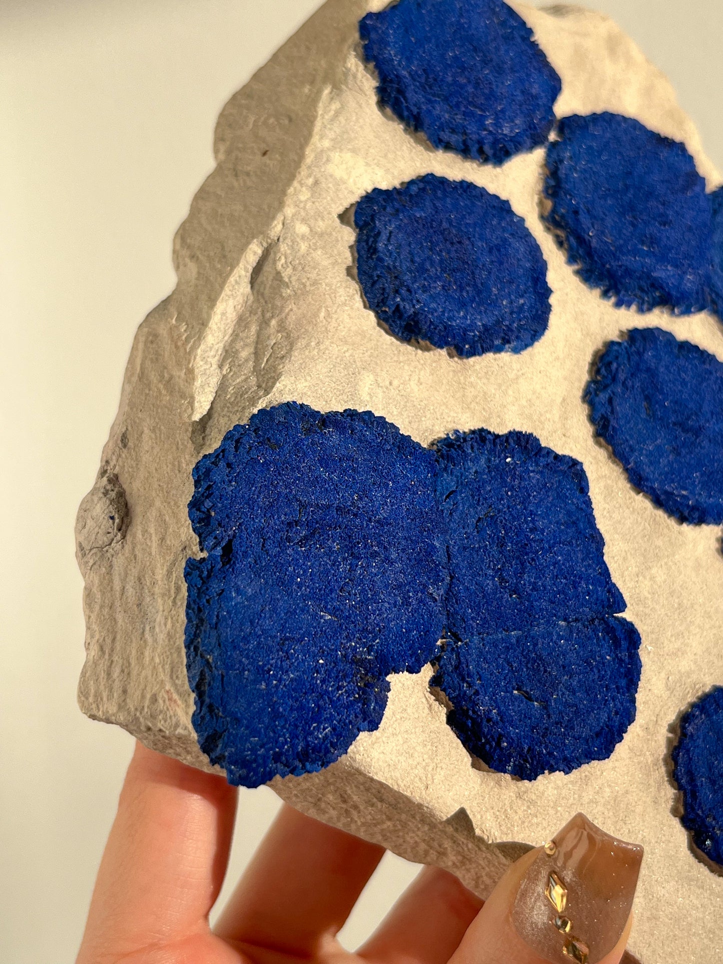 Collector’s Specimen Azurite Sun on Clay