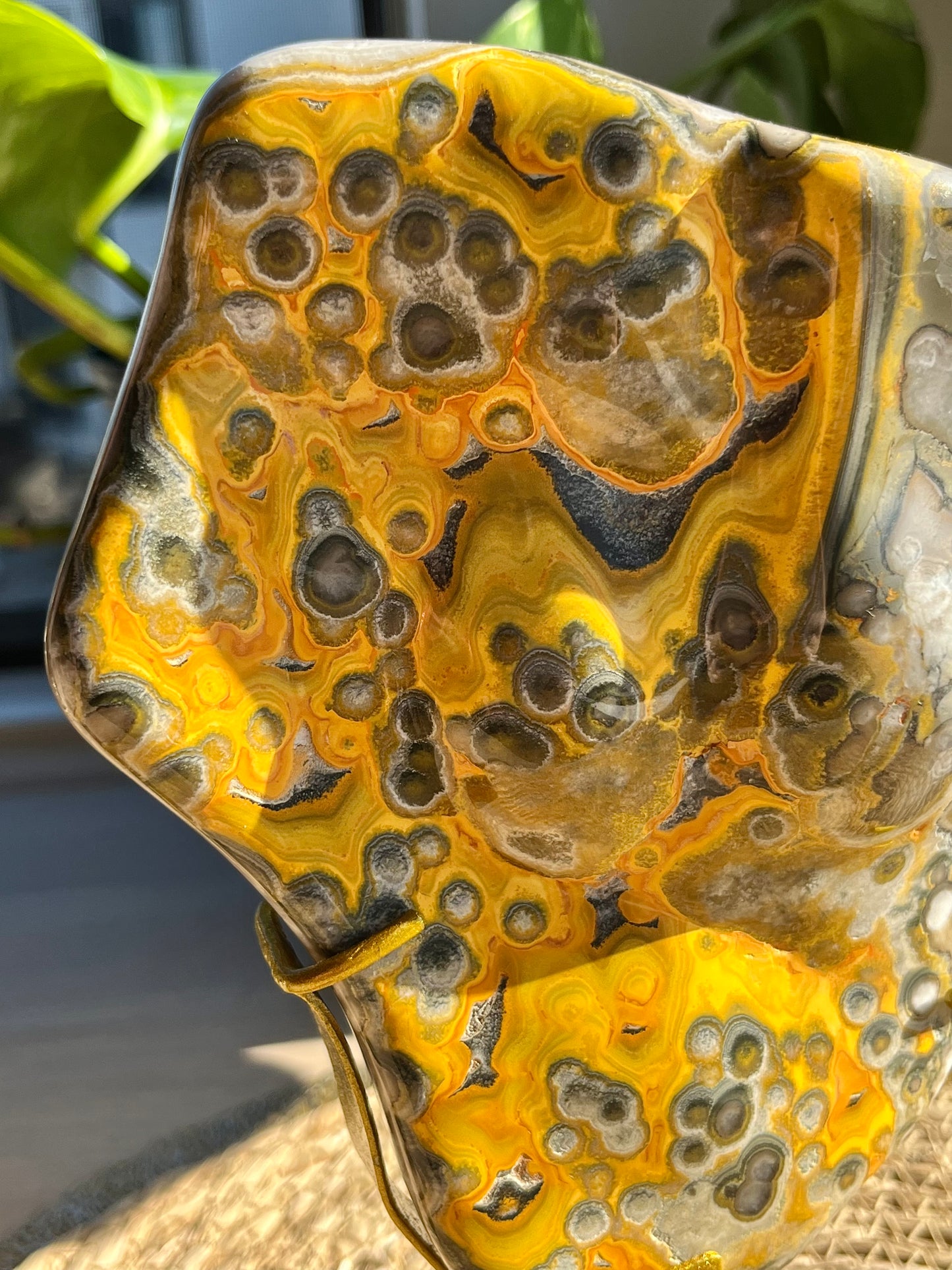 Rare Orbicular Bumblebee Jasper Polished Freeform on Stand #3