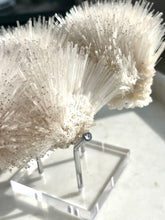 Load image into Gallery viewer, Mesolite Specimen #17
