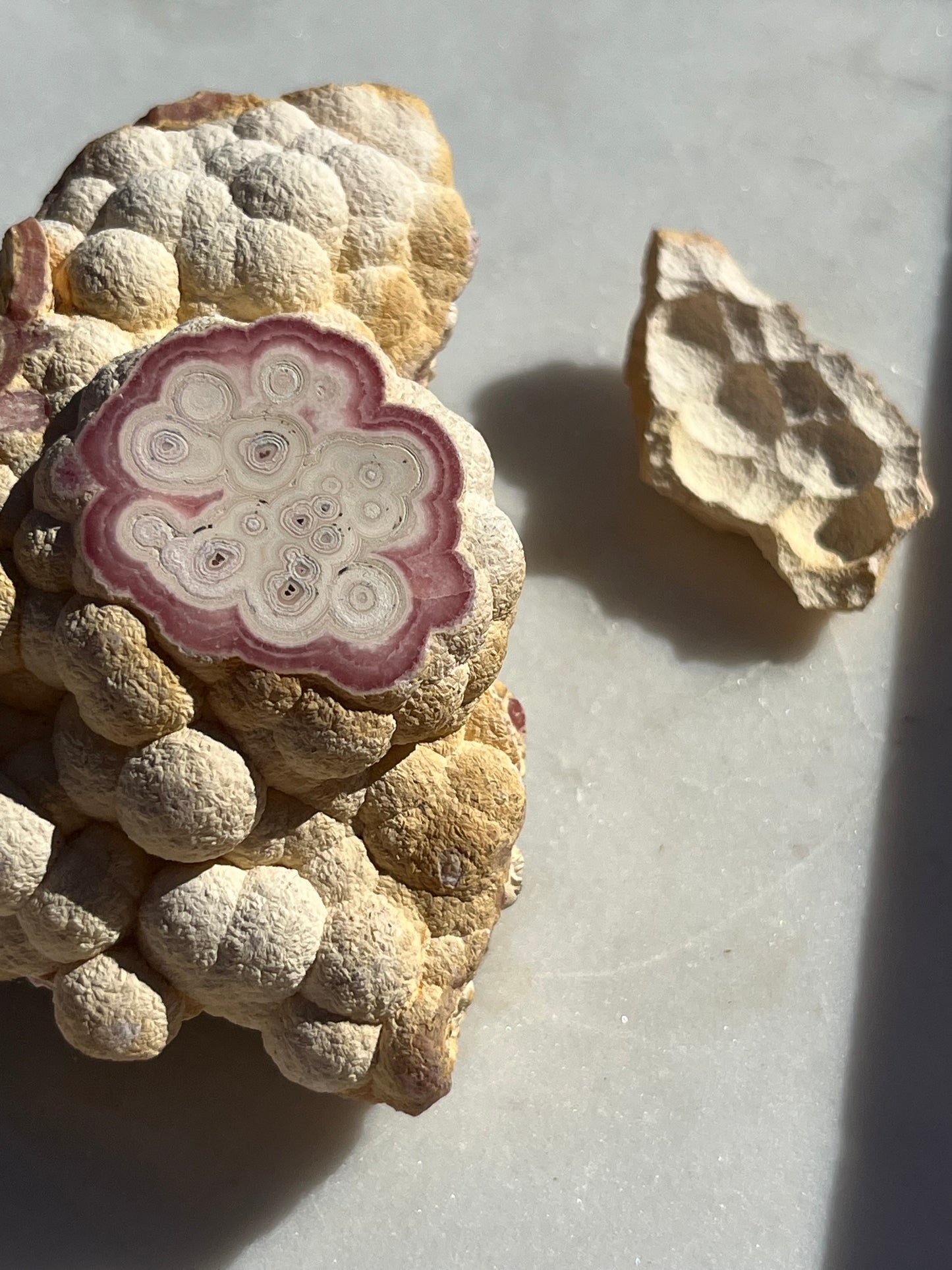 ‘Moonrock’ Botryoidal Rhodochrosite Specimen w/Cap #3