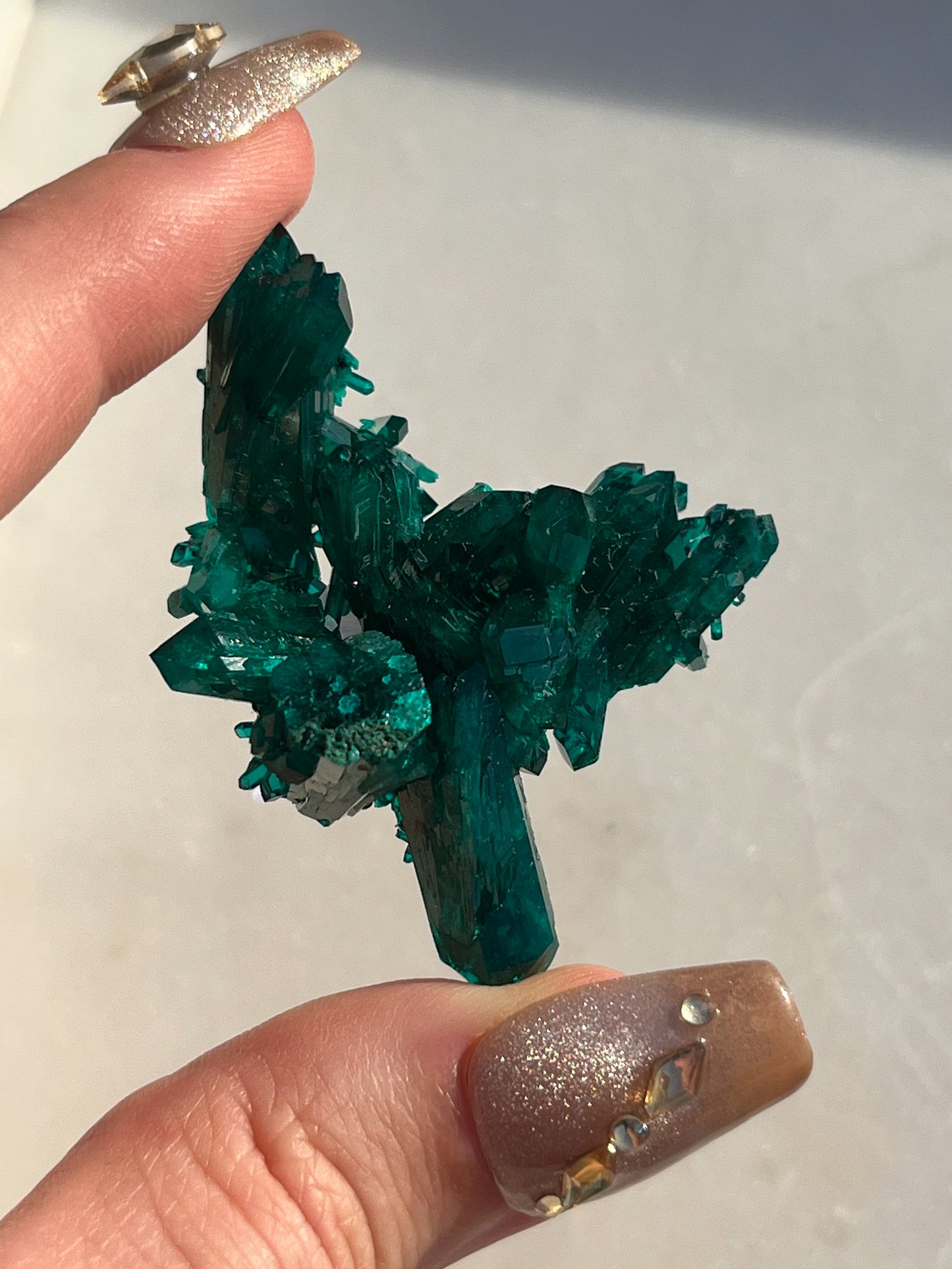 AA Grade Dioptase Specimen #4