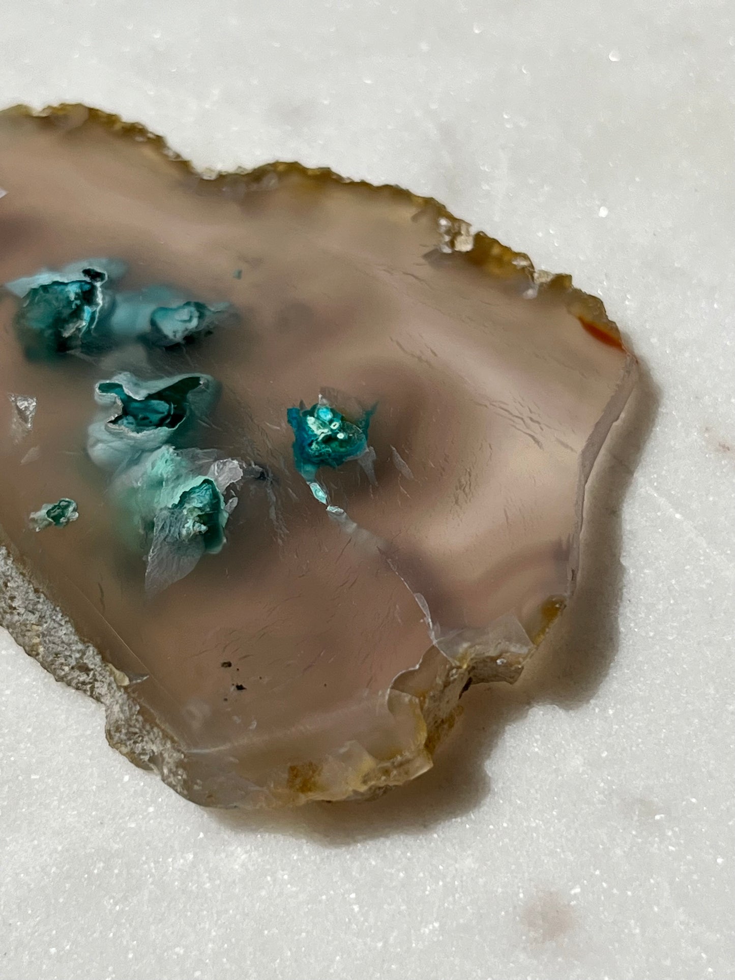 Chrysocolla in Chalcedony Slice w/Dendritic Inclusions