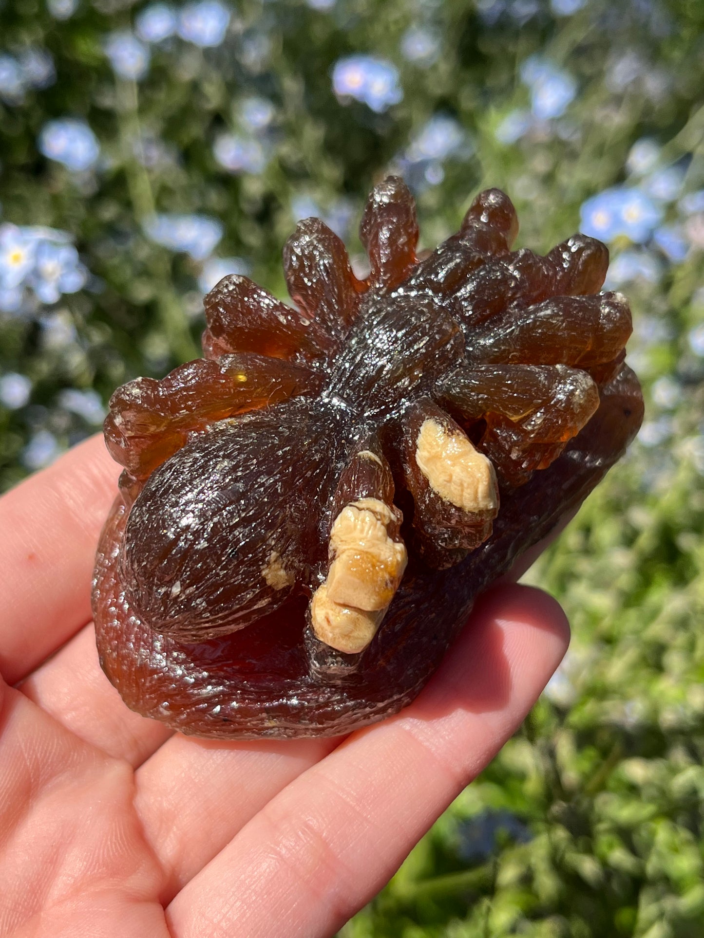 Indonesian Detailed Amber Tarantula Carving (Intuitively Chosen)