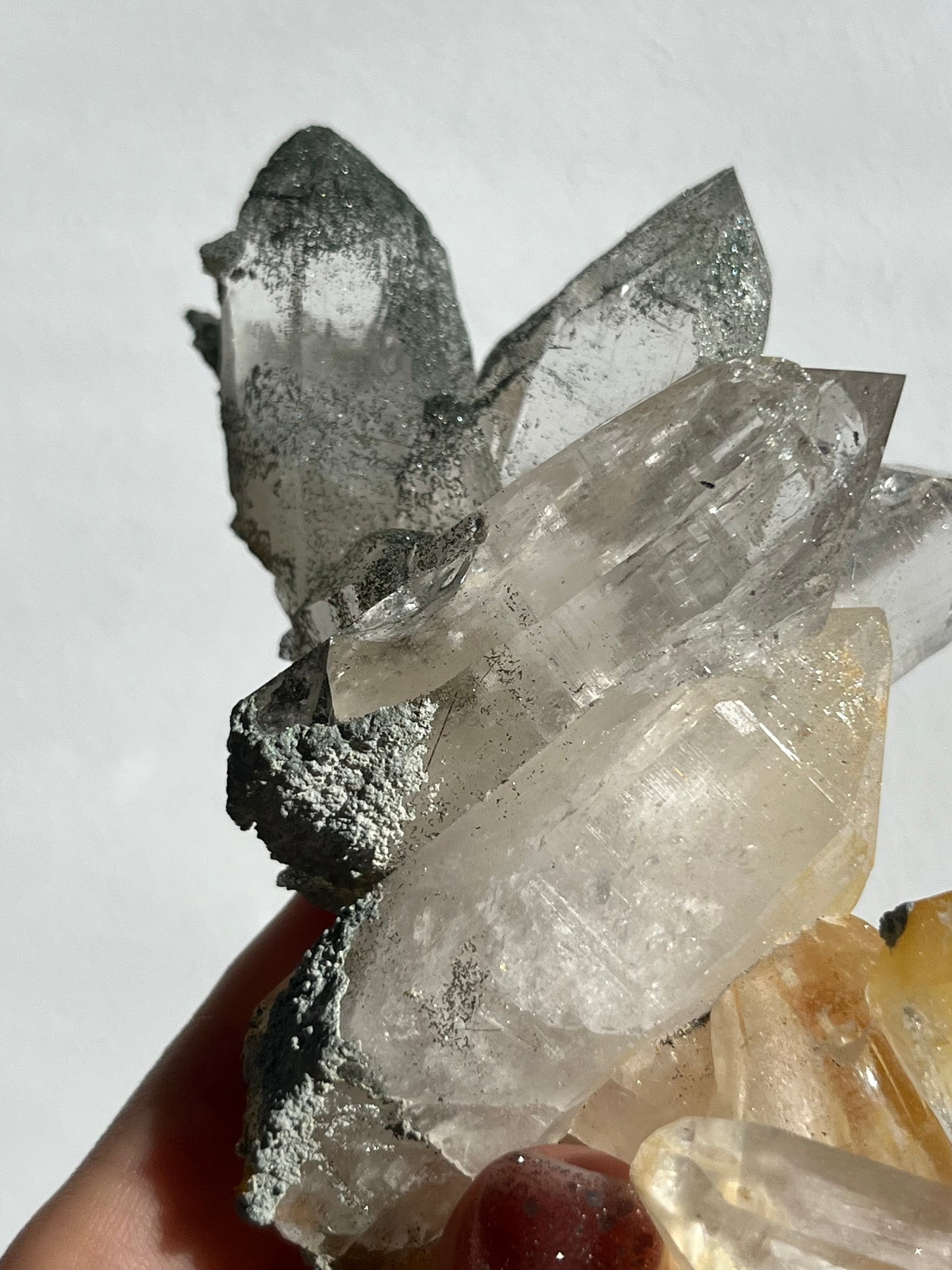 Chlorite Himalayan Quartz Cluster w/Golden Healer, Rutile & Sparkly Anatase Inclusions #7