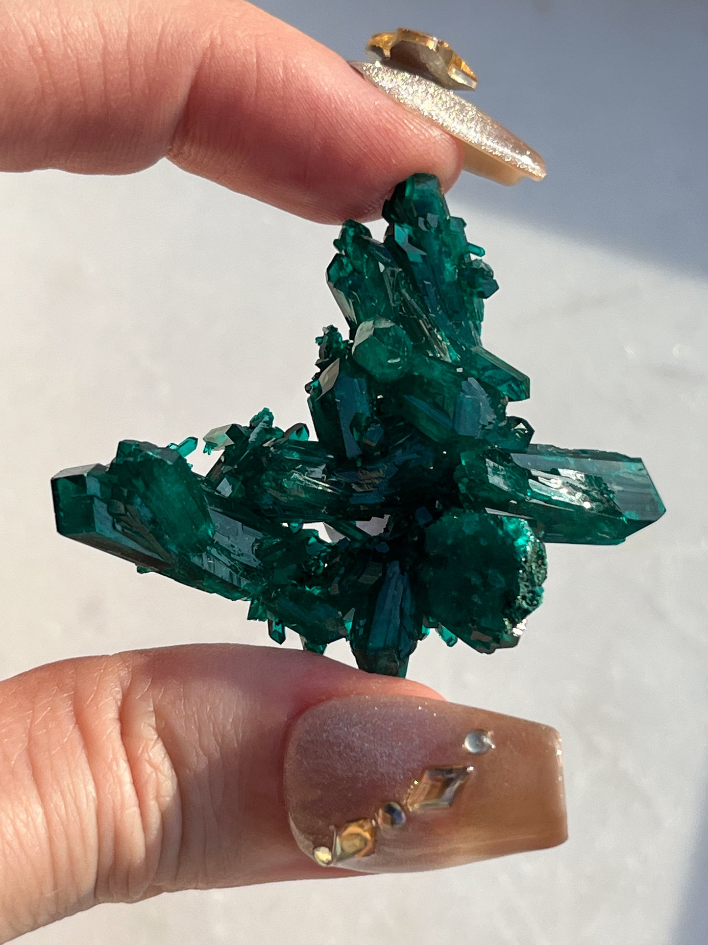 AA Grade Dioptase Specimen #4