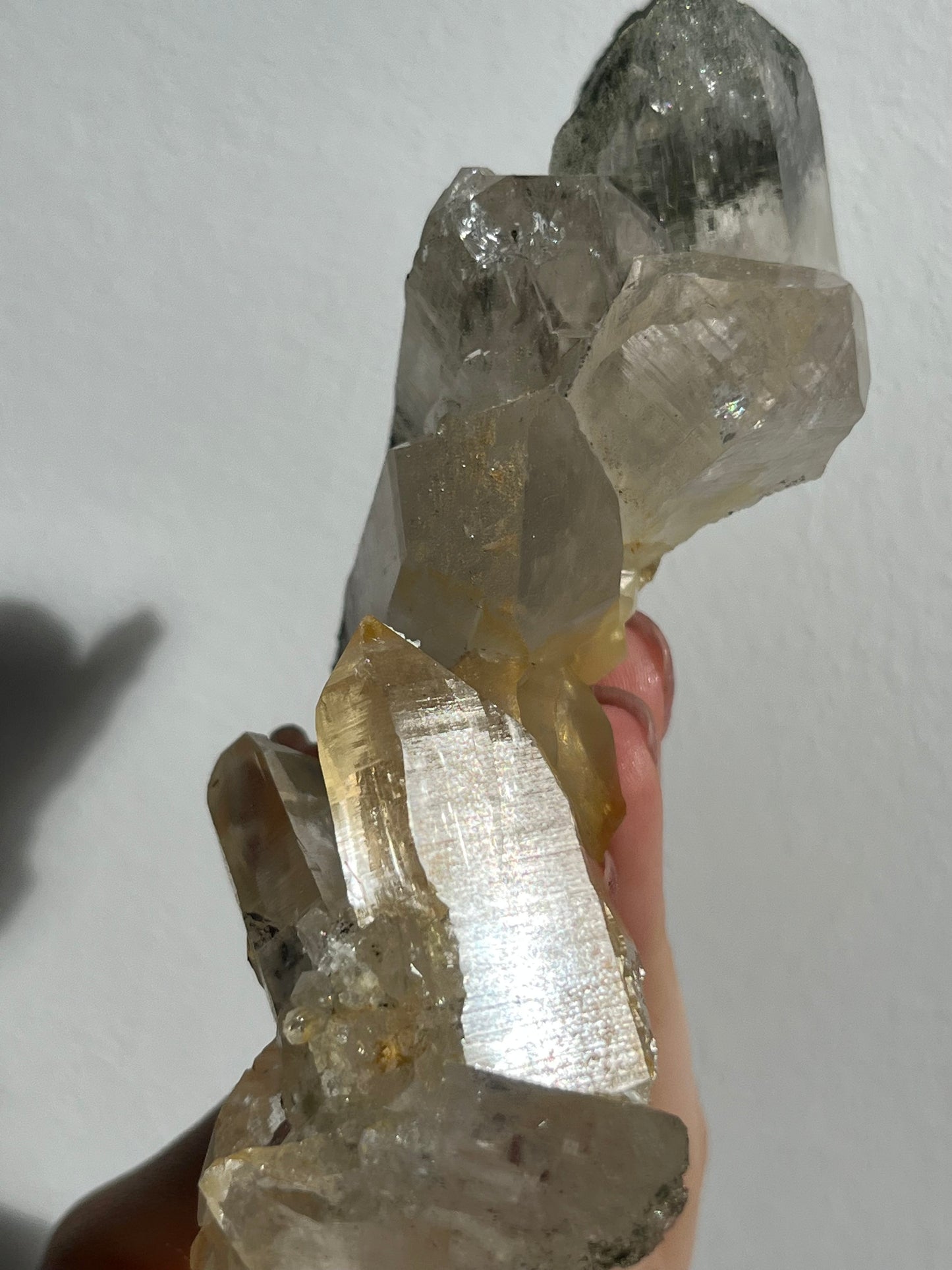 Chlorite Himalayan Quartz Cluster w/Golden Healer, Rutile & Sparkly Anatase Inclusions #7