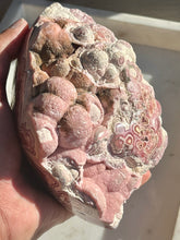 Load image into Gallery viewer, Half Polished Botryoidal Floral Pattern Rhodochrosite Freeform #12
