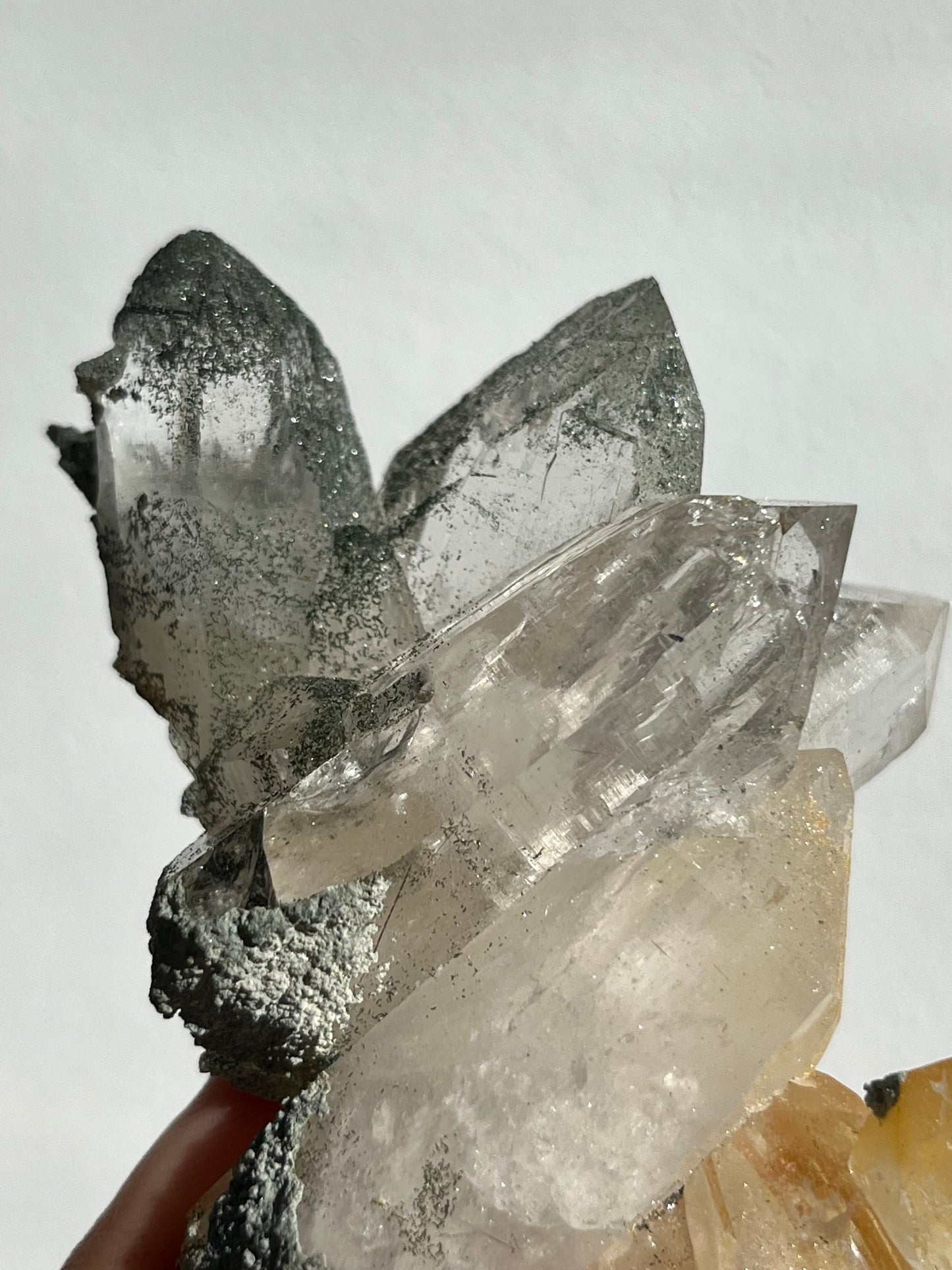 Chlorite Himalayan Quartz Cluster w/Golden Healer, Rutile & Sparkly Anatase Inclusions #7