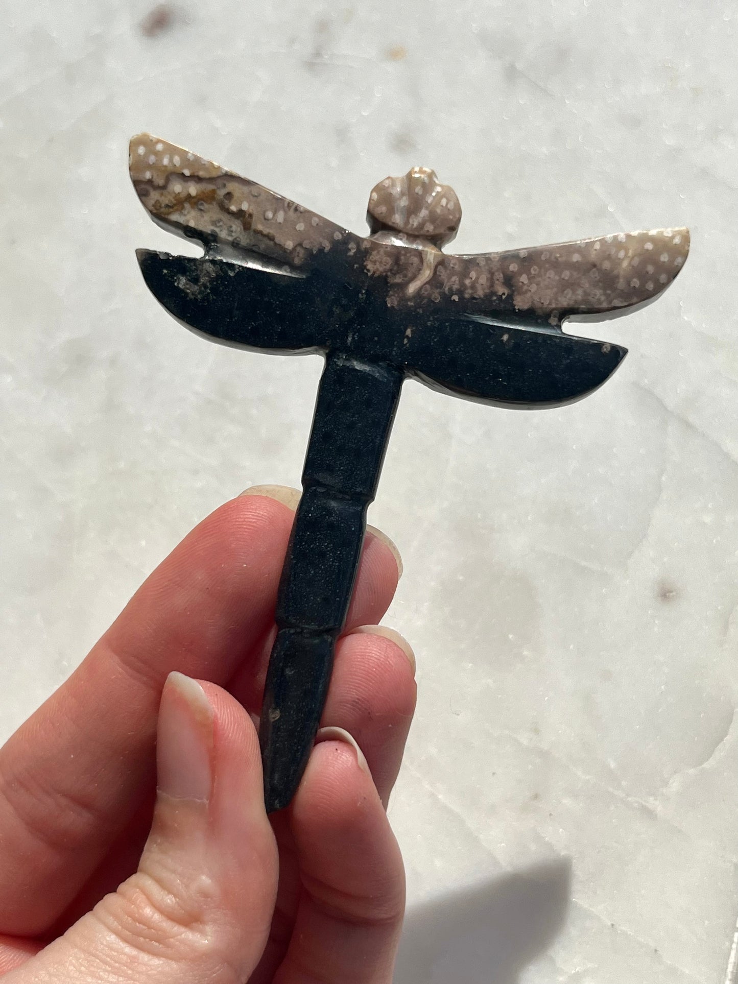 Fossilised Palm Root Dragonfly Carving (You Choose)