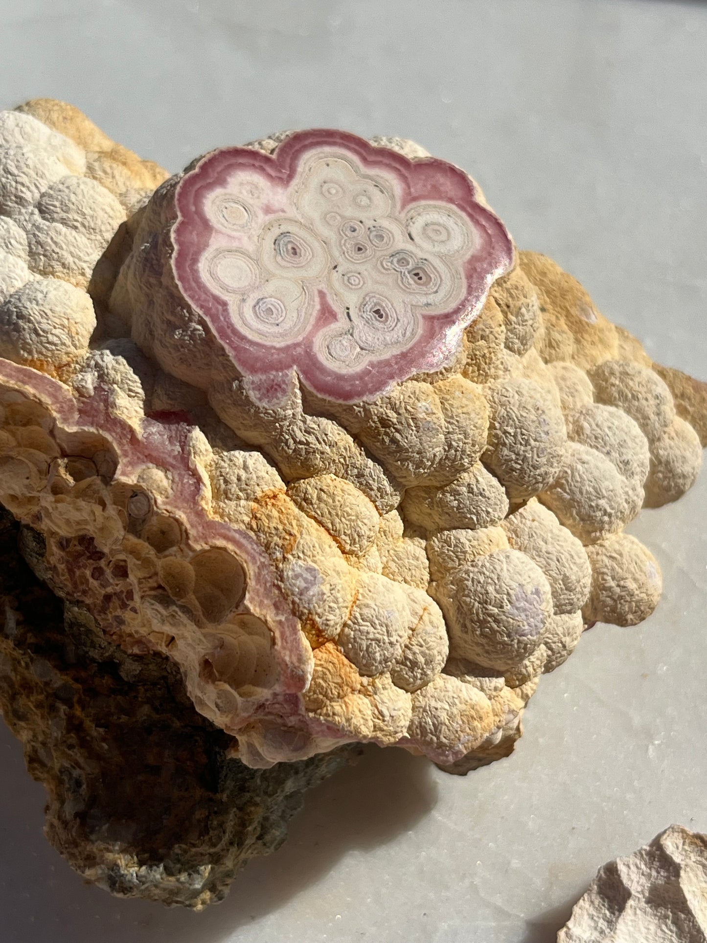 ‘Moonrock’ Botryoidal Rhodochrosite Specimen w/Cap #3