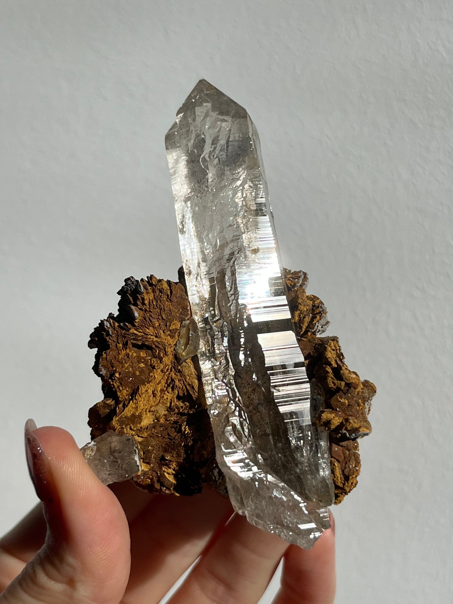 Water Clear Self-Healed Himalayan Smokey Quartz Point in Siderite Rosette #5