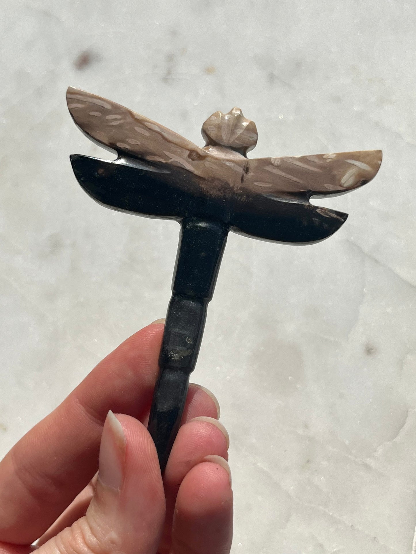 Fossilised Palm Root Dragonfly Carving (You Choose)