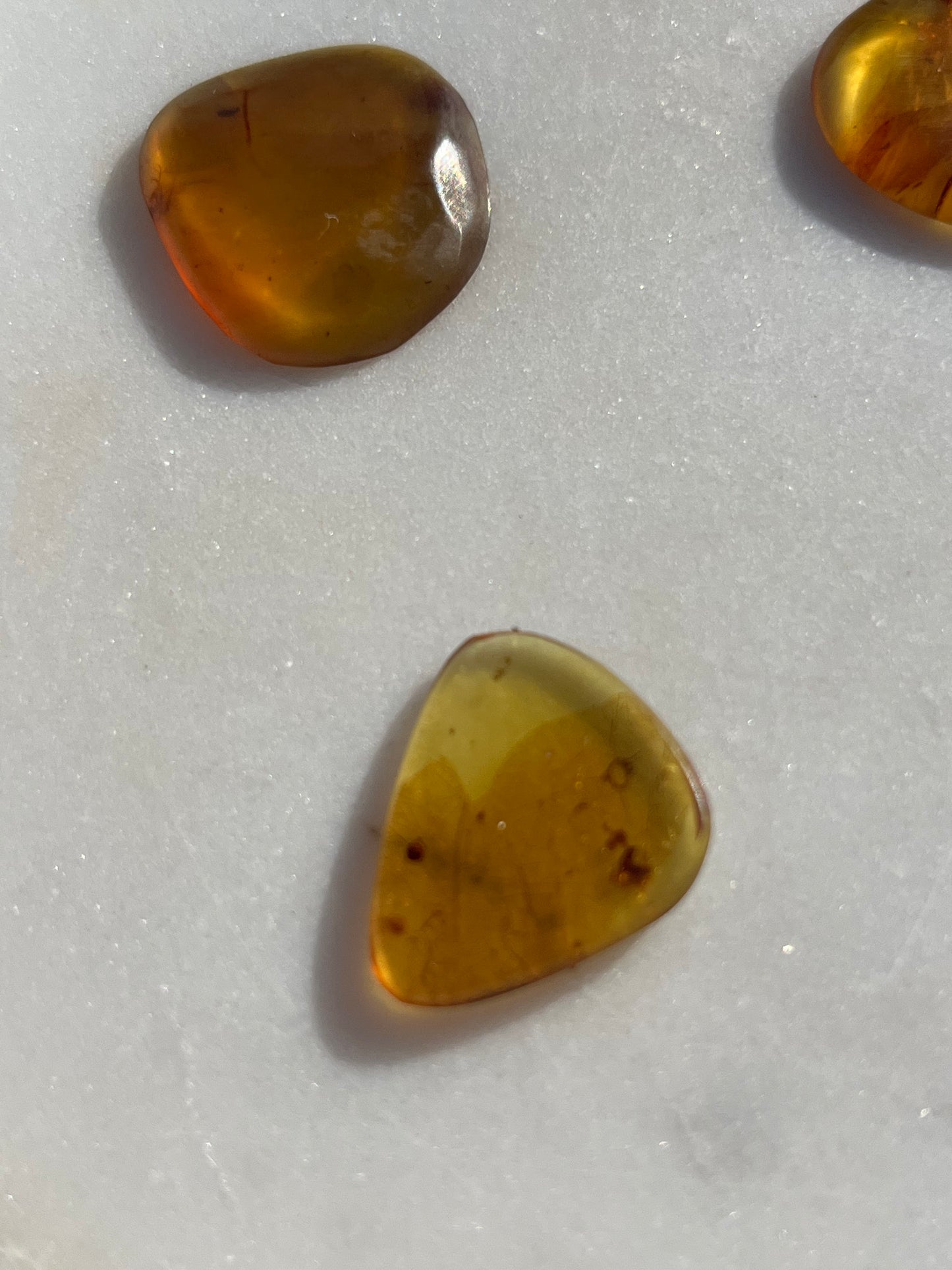 Amber Specimen (Intuitively Selected)