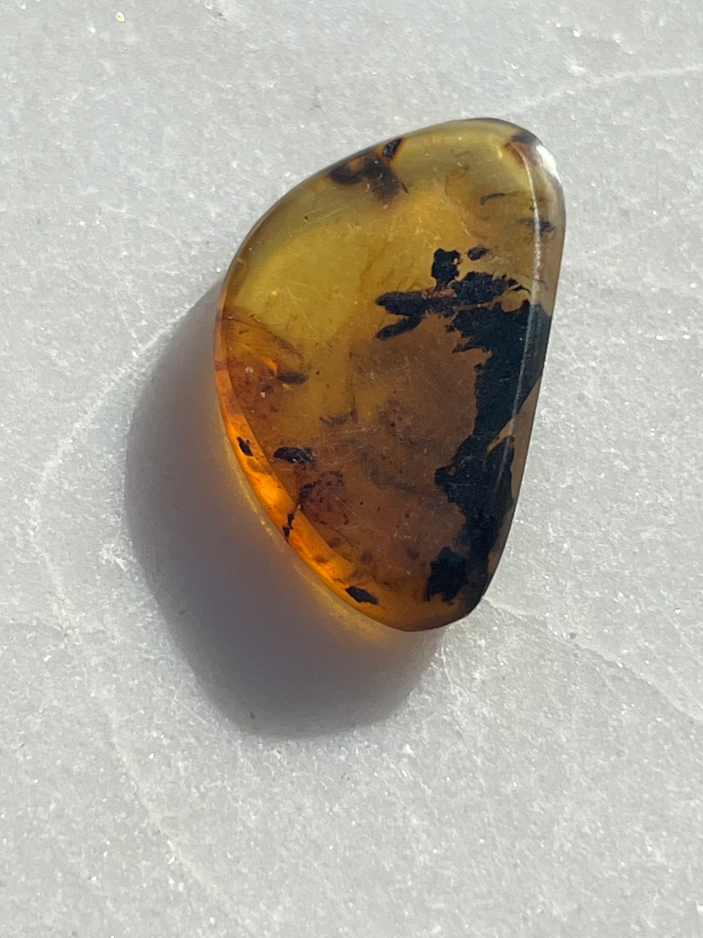 Amber Specimen (Intuitively Selected)