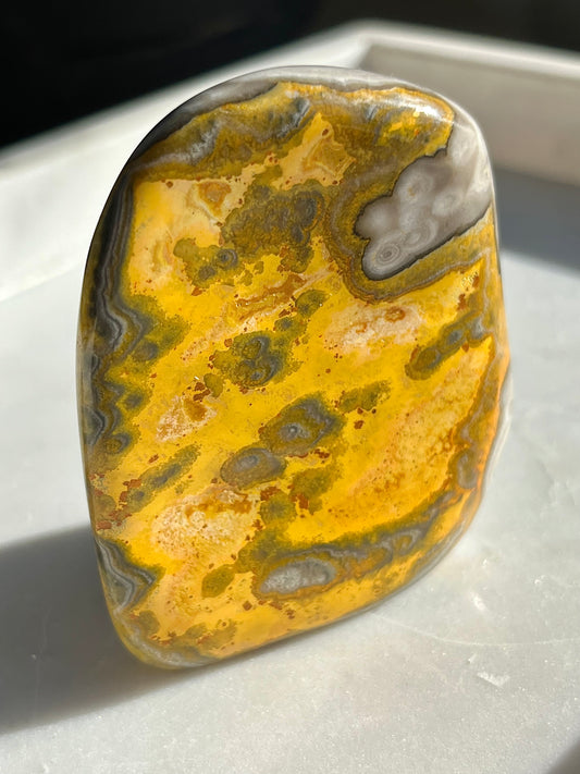 Rare Orbicular Bumblebee Jasper Polished Freeform #10