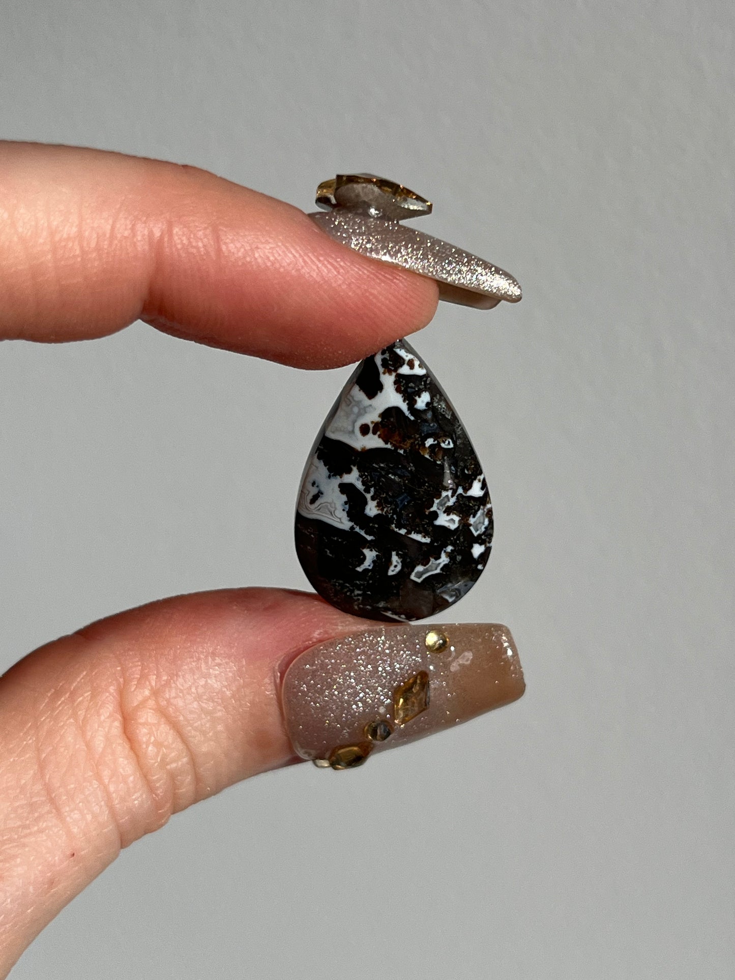 Agatised Black Petrified Wood and Marcasite Cabochon (You Choose)
