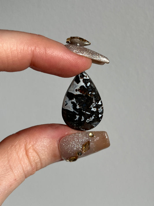 Agatised Black Petrified Wood and Marcasite Cabochon (You Choose)
