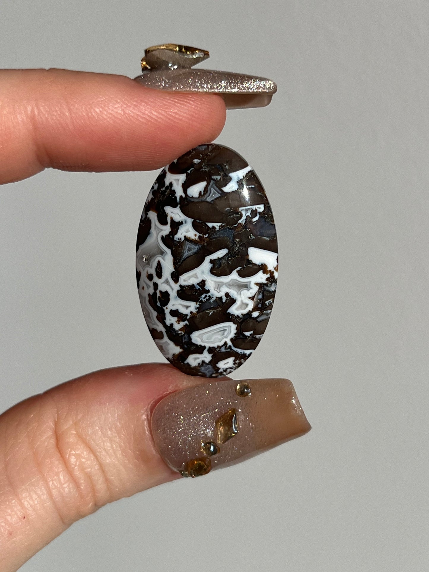 Agatised Black Petrified Wood and Marcasite Cabochon (You Choose)