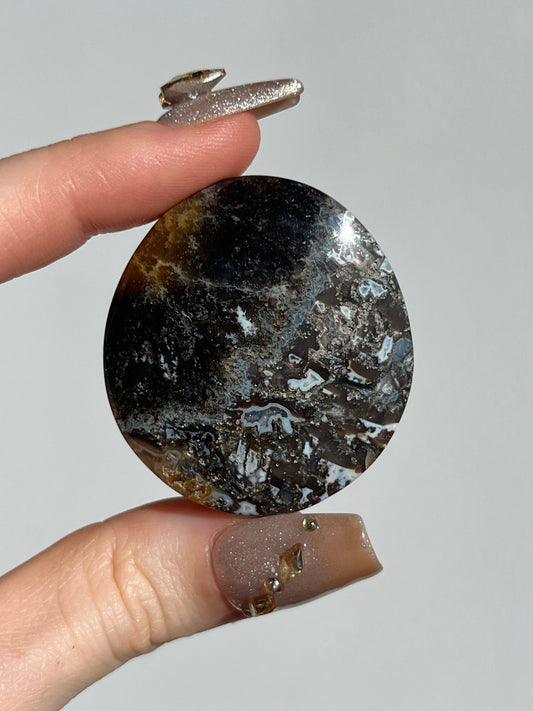 Agatised Petrified Wood Flatstone (You Choose)