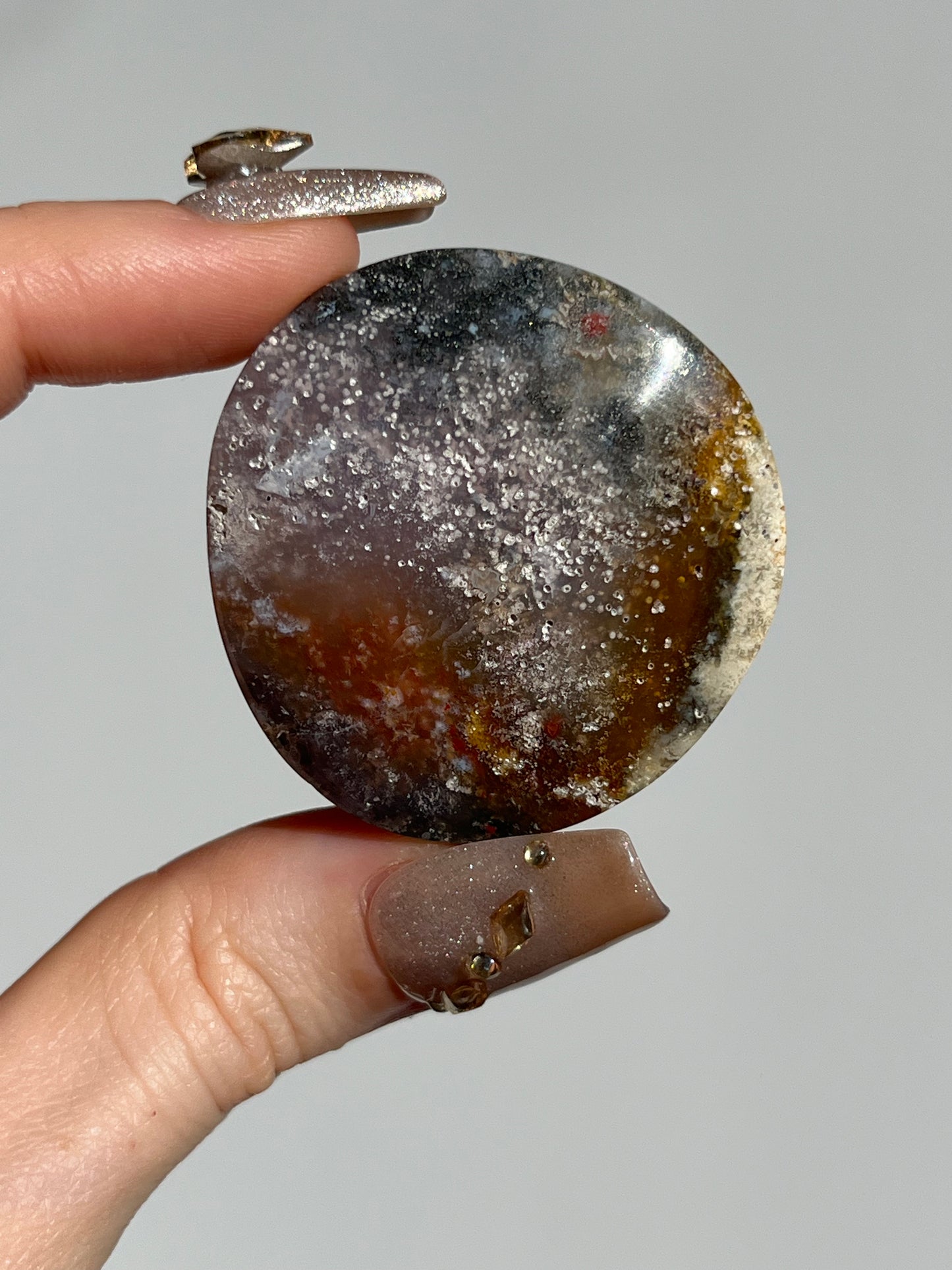 Agatised Petrified Wood Flatstone (You Choose)