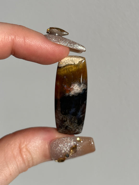 Petrified Wood and Marcasite Mixed Shape Cabochon (You Choose)