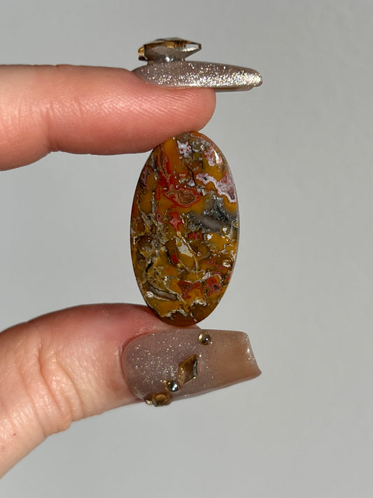 Brown Agatised Petrified Wood and Marcasite Oval Cabochon (You Choose)