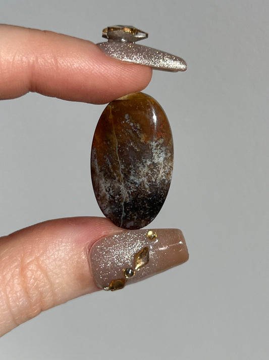 Petrified Wood and Marcasite Oval Cabochon (You Choose)