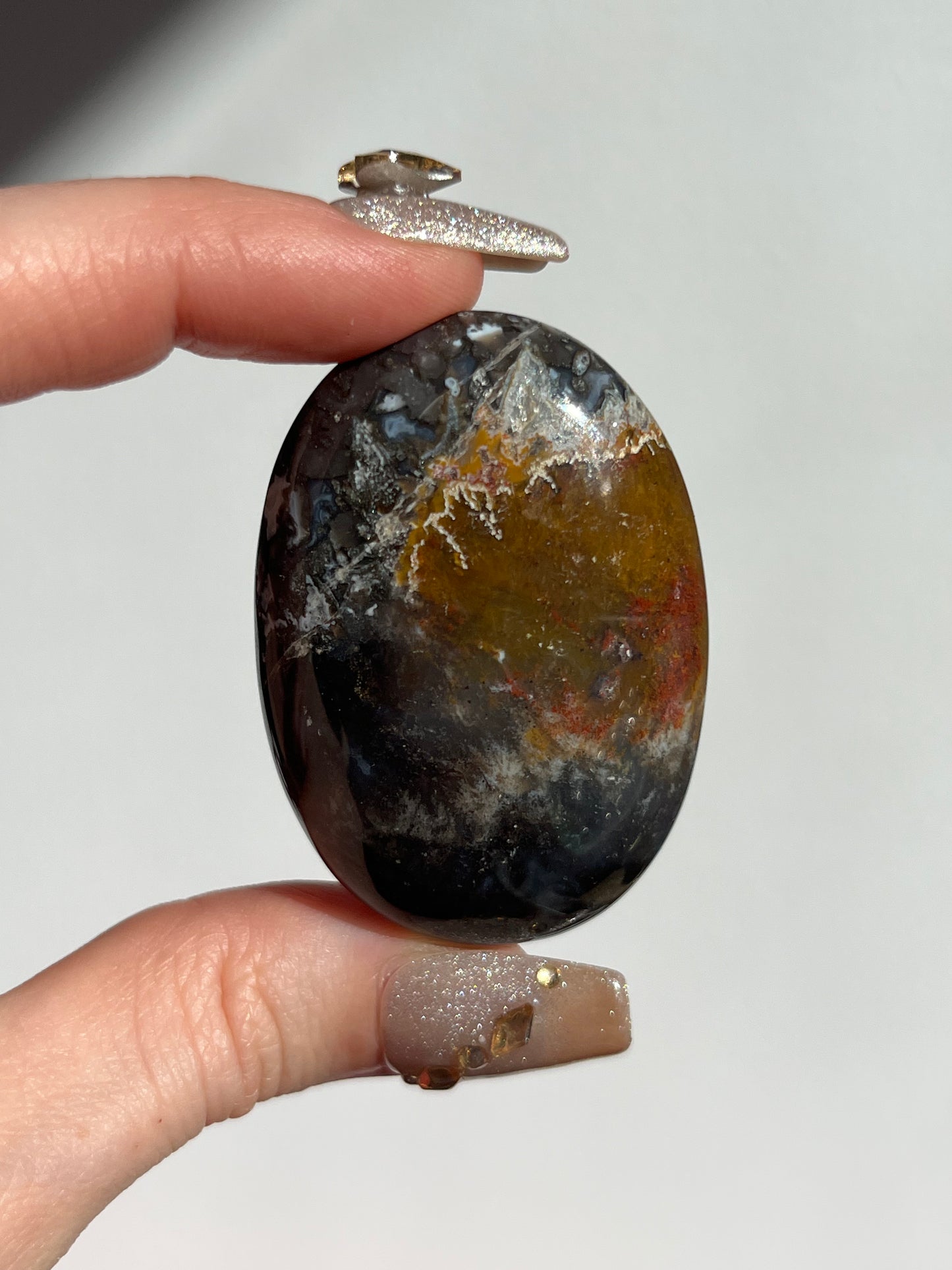 Petrified Wood Palmstone A