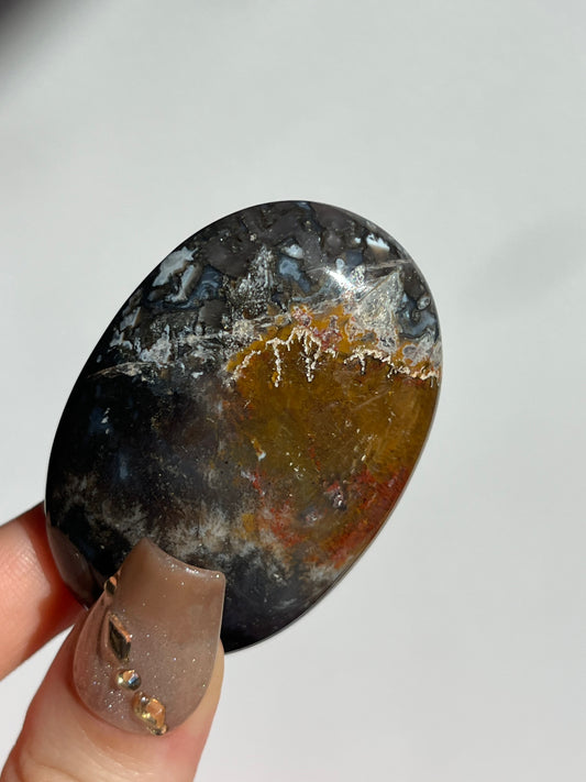 Petrified Wood Palmstone A