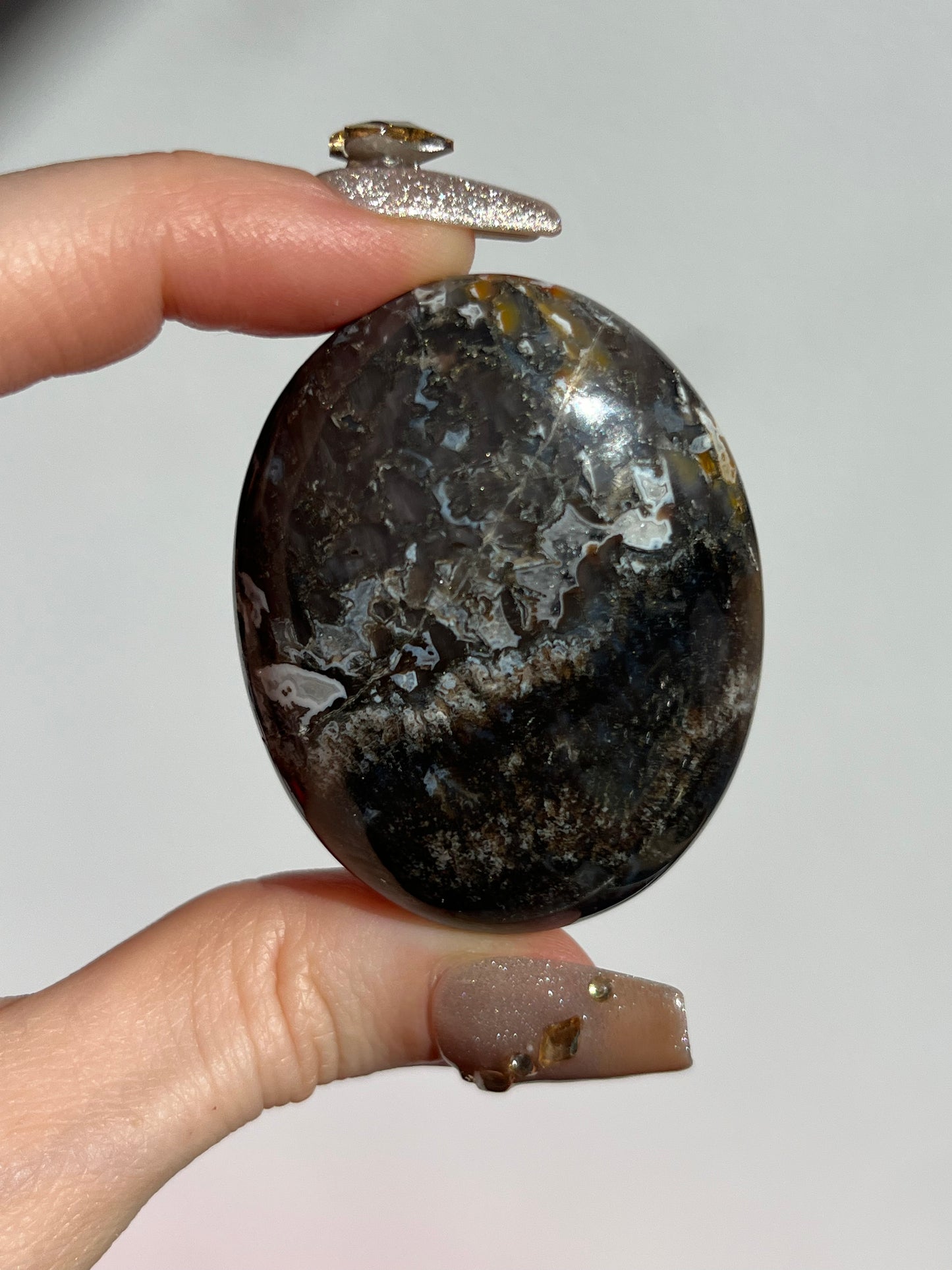 Agatised Petrified Wood Palmstone B