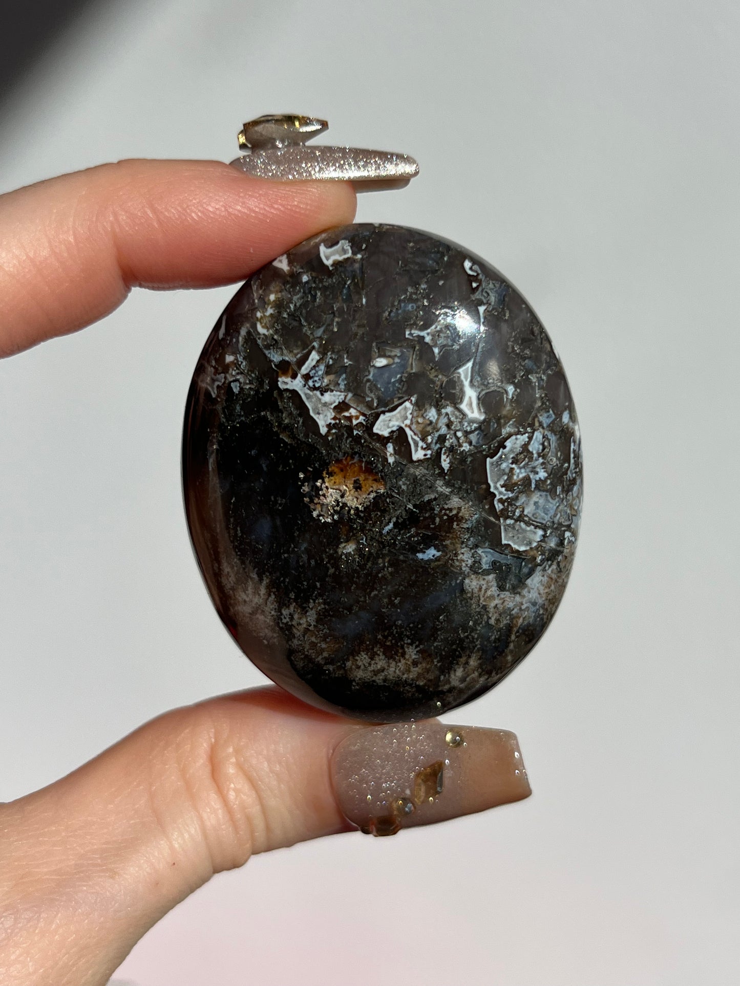 Agatised Petrified Wood Palmstone B
