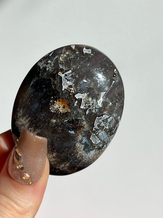 Agatised Petrified Wood Palmstone B