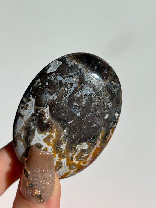 Agatised Petrified Wood Palmstone C