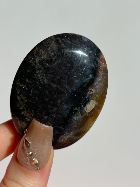 Petrified Wood Palmstone D