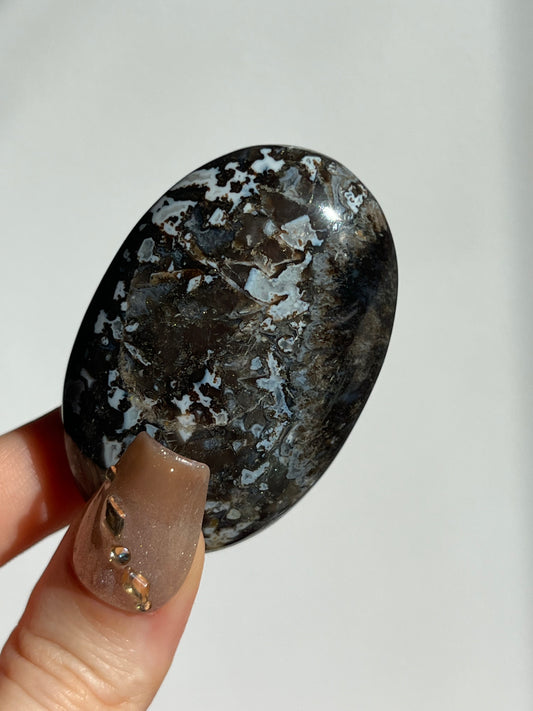 Agatised Petrified Wood Palmstone E